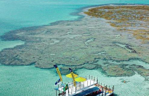 Apartamento São José Maragogi - Foto 20