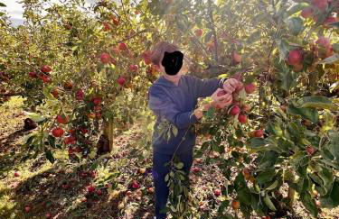 Fisherman's Cottage - Foto 36