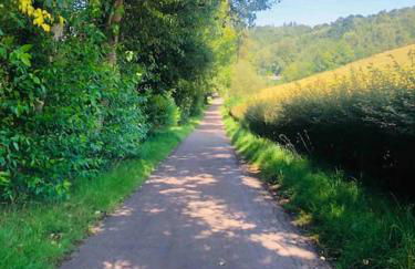 The Orchard Apartment, Clyde Valley - Foto 43