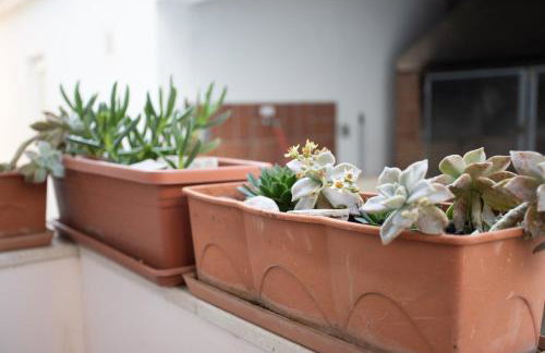 Bol Studio Gospojica - Photo 25