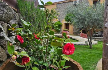 EL PATIO DE LAS TINAJAS - Photo 29