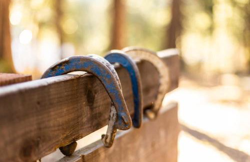 BunkHouse 1960's Camp Vibe with Timeless Wet Bar - Foto 47