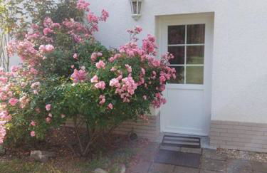 Schöne Maid - Foto 21