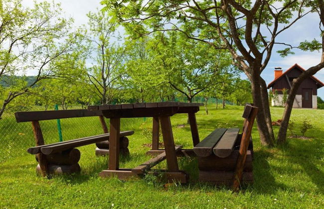 Guesthouse Zafran - Foto 9