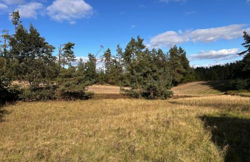 Domki Gorąca Bania - Foto 44