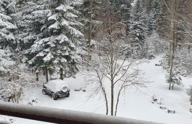 Śumska kuća - Foto 27