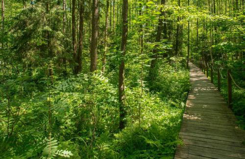 Apartament w Puszczy Białowieskiej - Foto 17