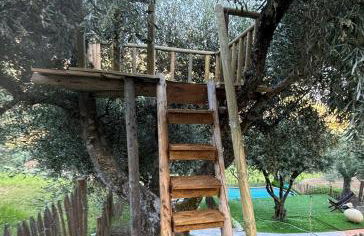 maison du olival - Photo 3