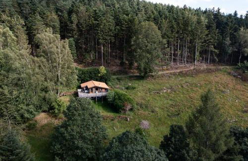 Le gîte du Männele - Into my Hardt - Photo 23