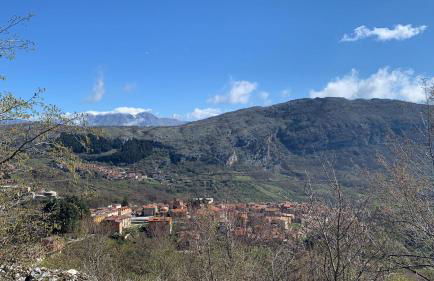 MOMI HOUSE - Foto 11