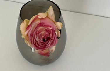 Black Forest Apartments - Foto 10