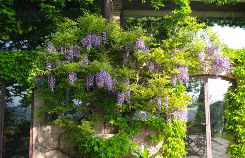 La Casa Sopra Le Nuvole - Foto 48