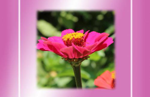 Ikaria Utopia - Cusco Studios - Photo 54