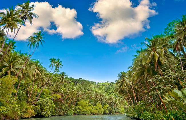 Excursion d'une journée complète à l'île de Pamilacan - Photo 1