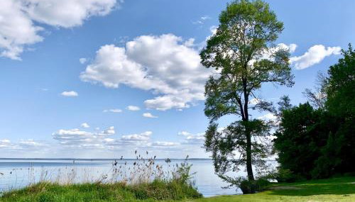 Das Sommerhaus - im Land der tausend Seen - Foto 2