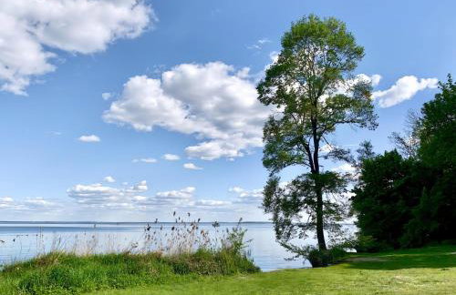 Das Sommerhaus - im Land der tausend Seen - Foto 2