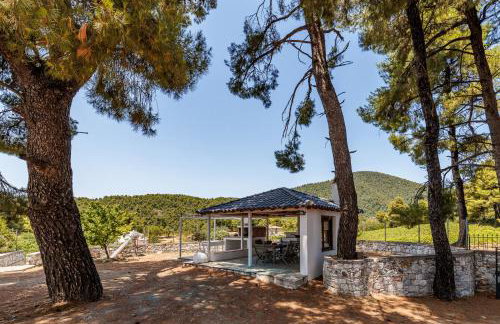 Villa Siraino - Ktima Skopelos - Foto 49