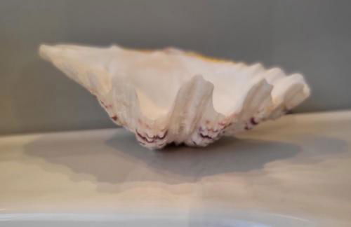 Villa Tilly - Foto 23