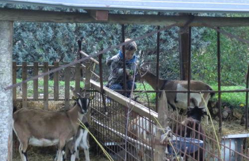 Il Vignale - Foto 30