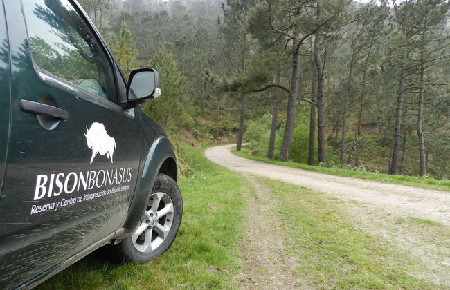 Visite du centre de découverte du bison d'Europe - Photo 4