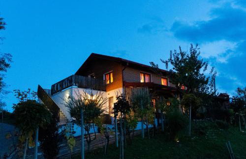 Ruralna kuća za odmor KOVIN BREG - Foto 21