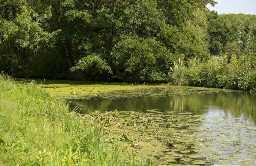 Château du Loroux - Photo 20