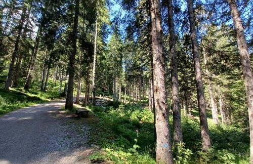 Appartamentino Marilleva 1400 - Foto 23