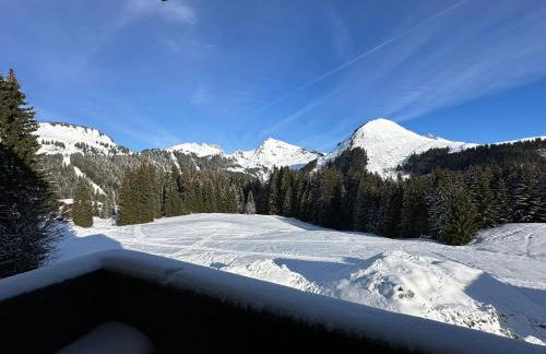 Studio au cœur du Praz-de-Lys - Les Pralyssimes - Foto 15
