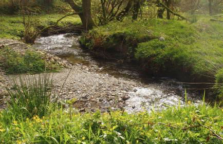 Cambrian Cottages - Charming Countryside Barn - Photo 139