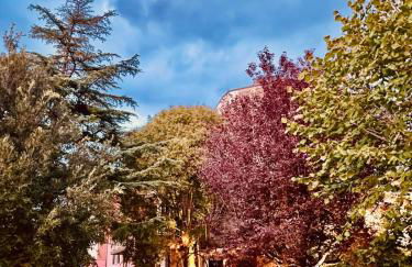 Apartment La Sera - Agriturismo CasaViVa - Foto 33