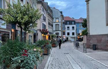 Épinal : superbe appartement en plein centre ville - Foto 22