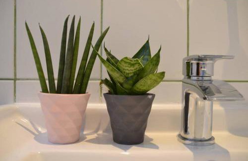 Cattle Shed Cottage - Foto 18