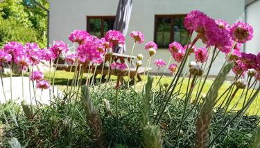 Ostwind - ferienwohnungen & meer - Foto 4, Garden view