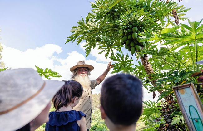 High Valley Dawn Permaculture Farm - Foto 10