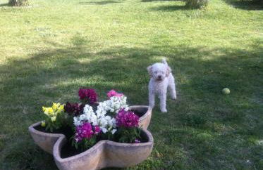 Gite au coeur de la Provence & SPA - Foto 7