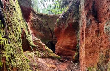 Le Picholine - Foto 29