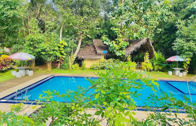 Woodland Sanctuary - Photo 15