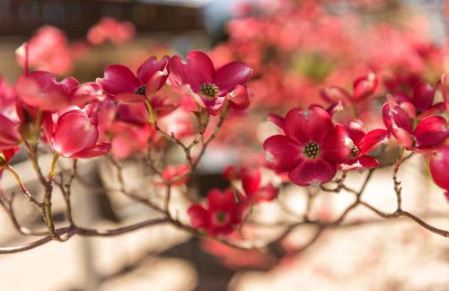 Landhaus Fux - Foto 36