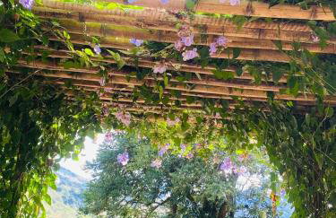 RECANTO FLORES DA MONTANHA- via fácil ASFALTO, VISTA das Montanhas - Foto 22