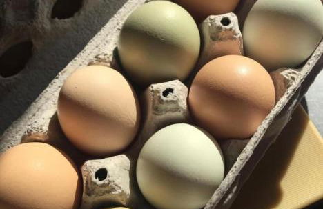 Cozy Creek House - Foto 45