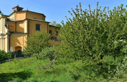 Il Ronchetto - Photo 127