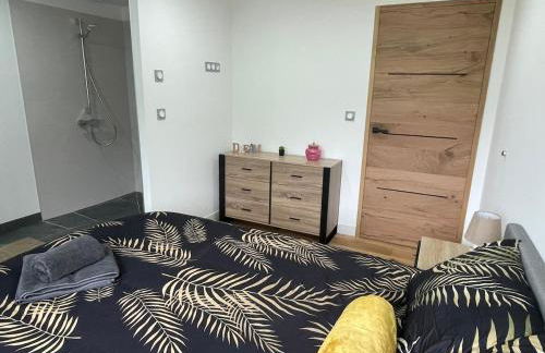 Gîte L'Après-Ski, Spa, Spacieux - Foto 72