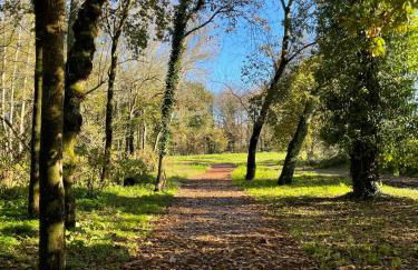 Retiro em Valença - Foto 17