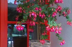 Bella Vista - Foto 27