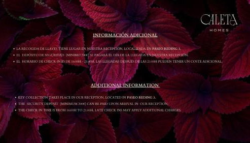 Malagueta Beach - Foto 3, Other