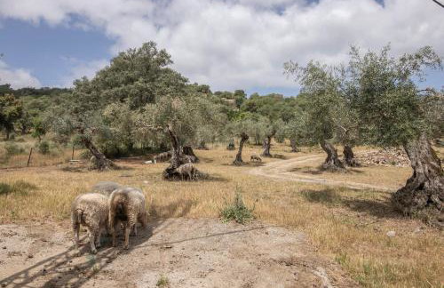 Finca Ecológica Morera - Foto 23