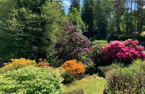 Swallows House - Foto 35