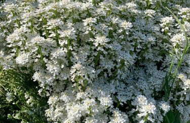 Casetta nel Podere di Massi - Foto 52