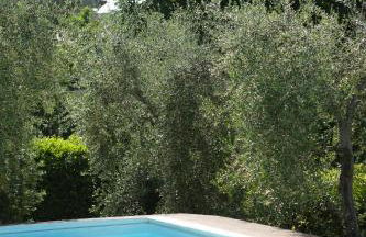 Villa Fiorenzani - Foto 55