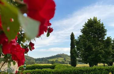 Agriturismo La Peschiera - Foto 74